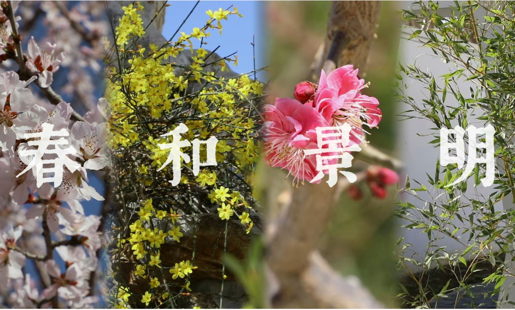 春和景明